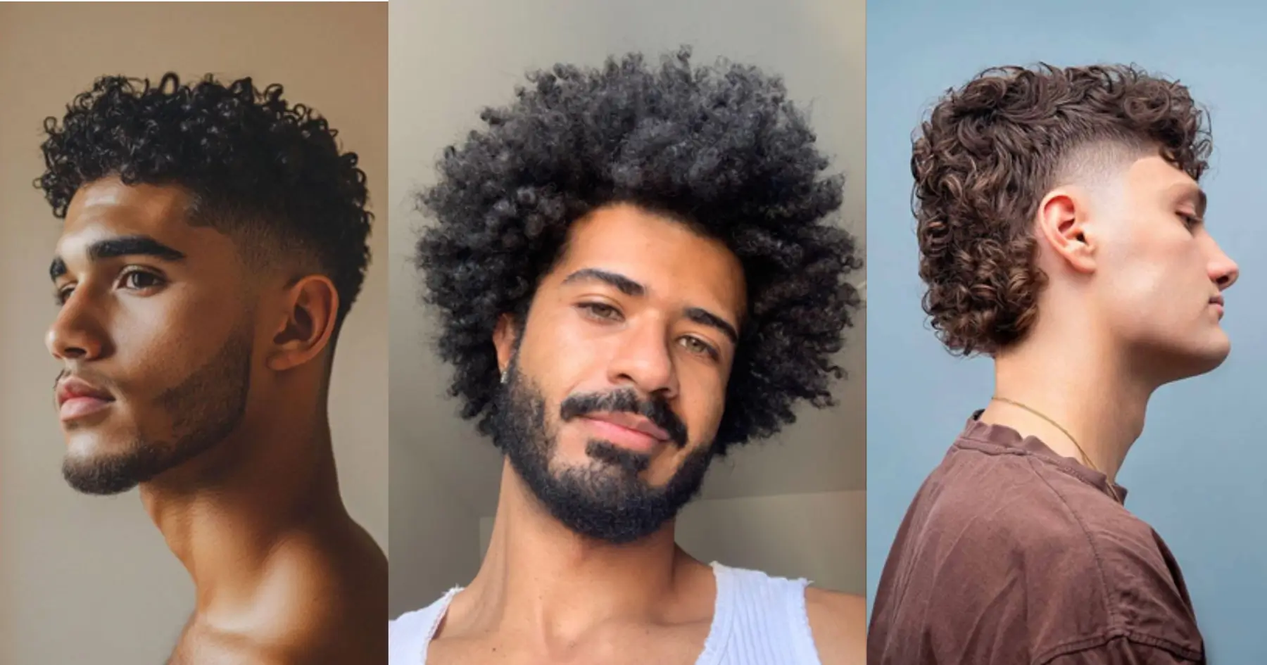 corte degradê cabelo cacheado masculino