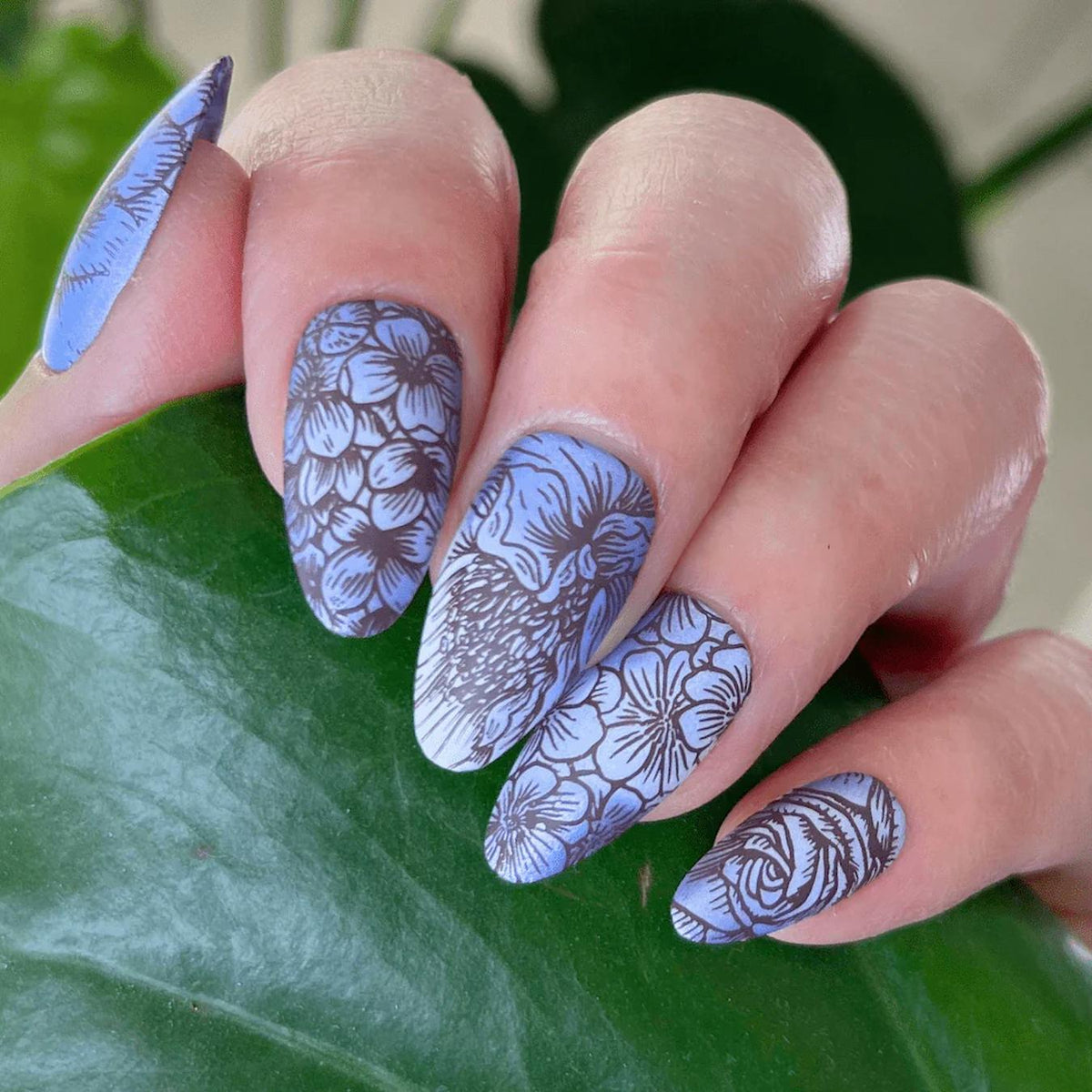 manicure moderna