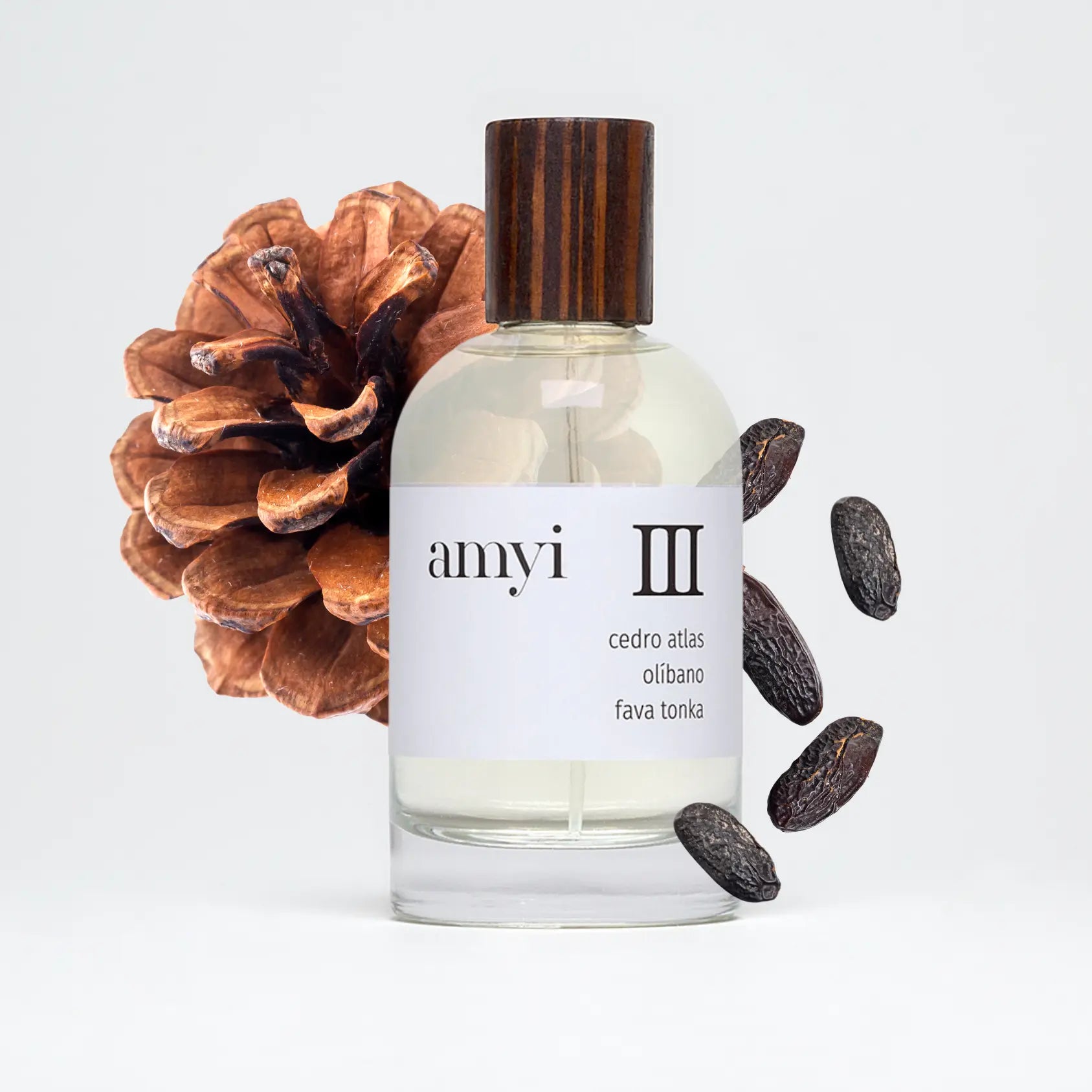 perfumes amadeirados masculinos importados