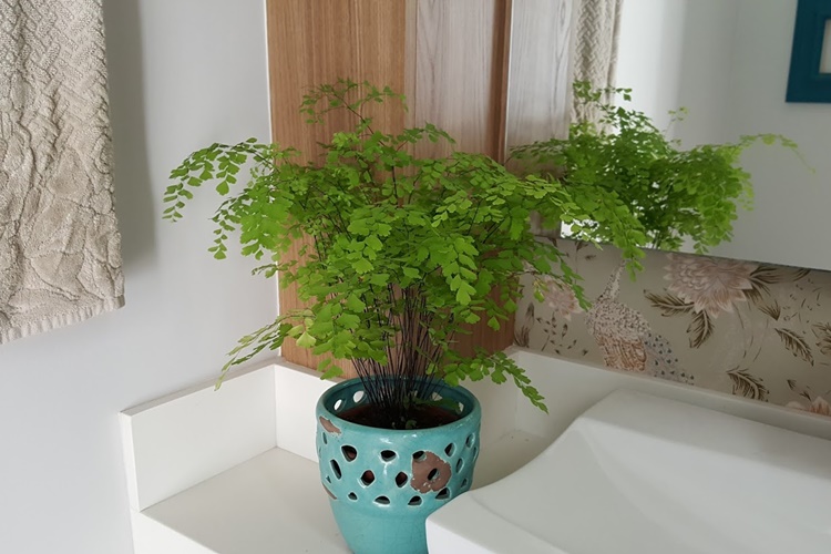 decoração banheiro com plantas